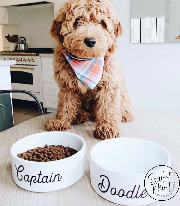 Custom Name Pet Bowl