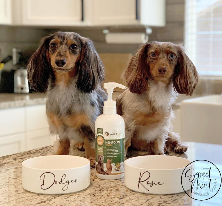 Custom Pet Bowl Personalized Dog / Cat