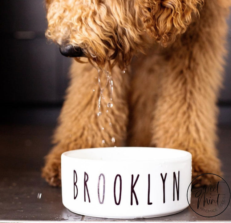 Custom Pet Bowl Personalized Dog / Cat